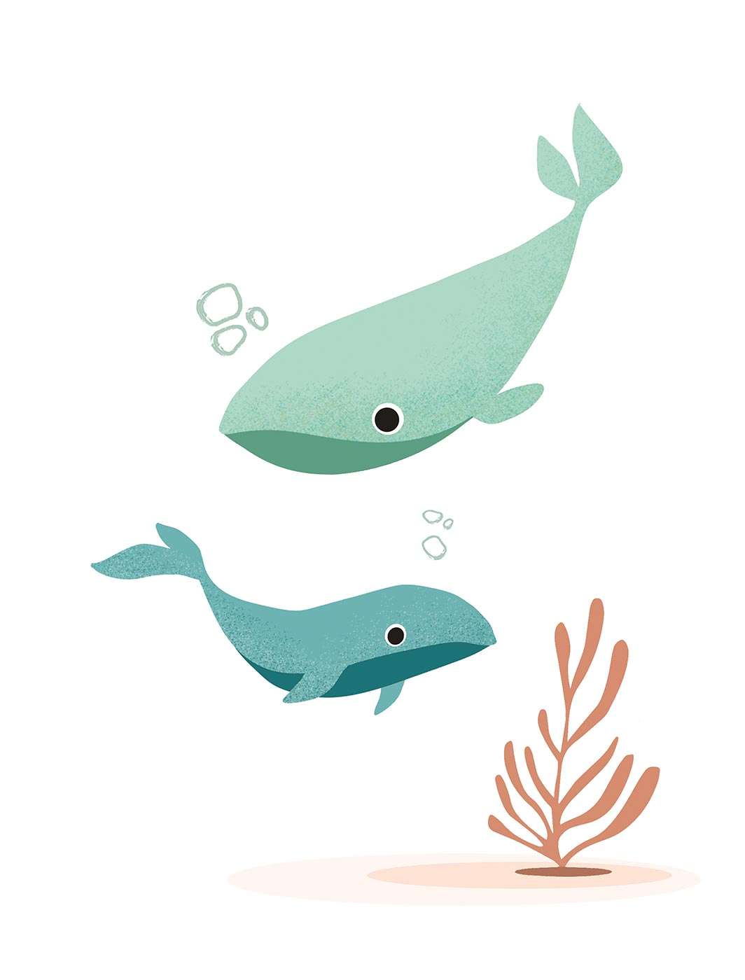 Baleines, illustration de Margaux Couribaut