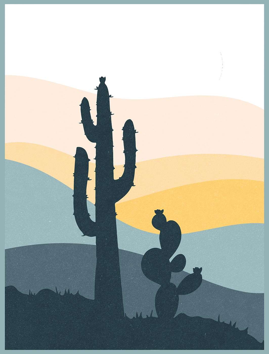 Cactus illustration