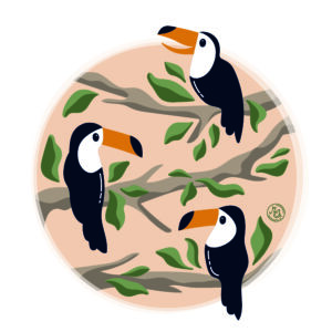 affiche Toucans - 21x30cm